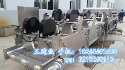 供應酸菜生產(chǎn)廠家 醬腌菜殺菌設(shè)備 小型醬菜生產(chǎn)線設(shè)備