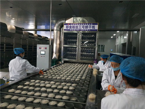 開辦粉條加工廠設(shè)備如何選擇